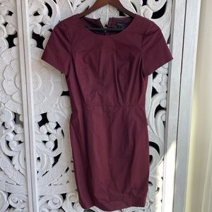 NWT Theory Maroon Dress